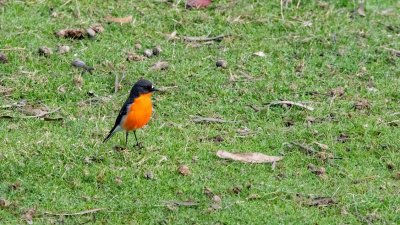 Image00021.jpg