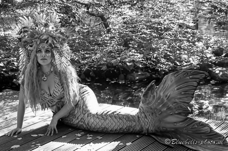 PNTX0861S_1024BW.jpg