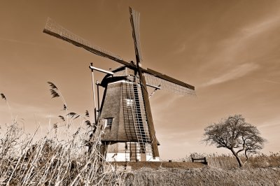 Zuidhollandse molen