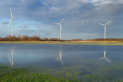 Wind turbines near flooded meadows