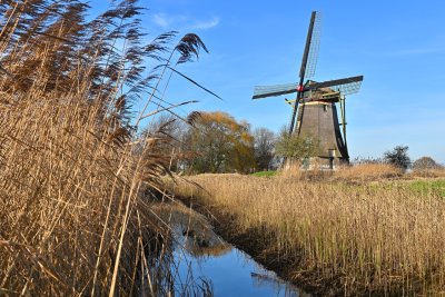 Zuid-Hollandse molen