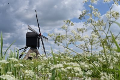 Windmill 'Uitwijkse molen' 