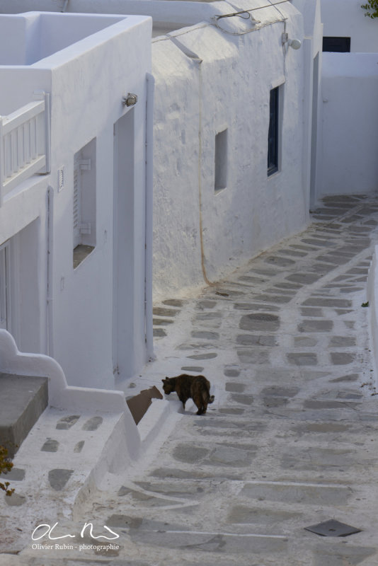 Mykonos_047.JPG