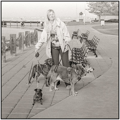 00003Dog Photos.jpg