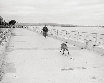 00026Dog Photos.jpg