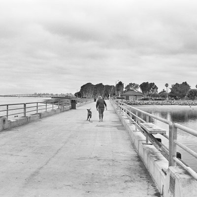 00027Dog Photos.jpg