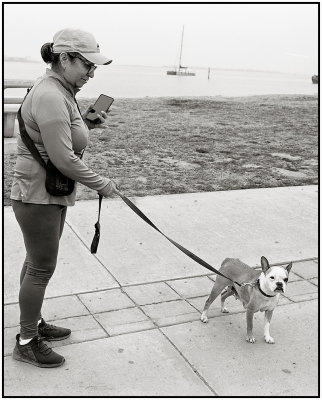 00033Dog Photos.jpg