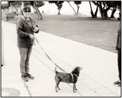00051Dog Photos.jpg