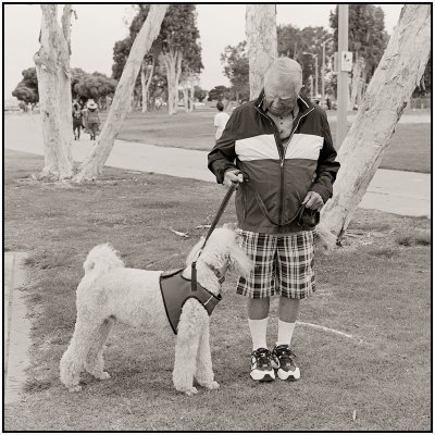 00055Dog Photos.jpg