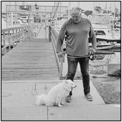 00062Dog Photos.jpg