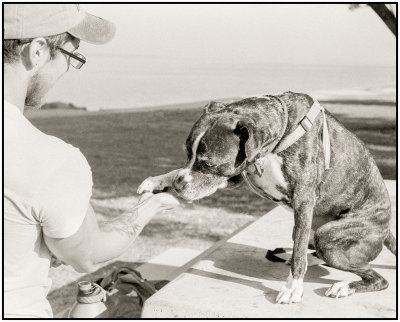 00073Dog Photos.jpg