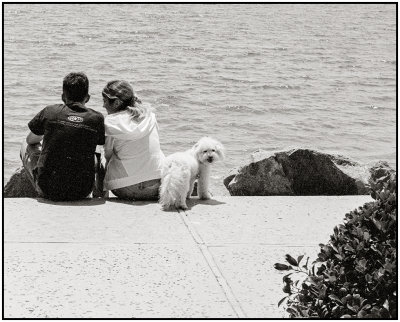 00076Dog Photos.jpg