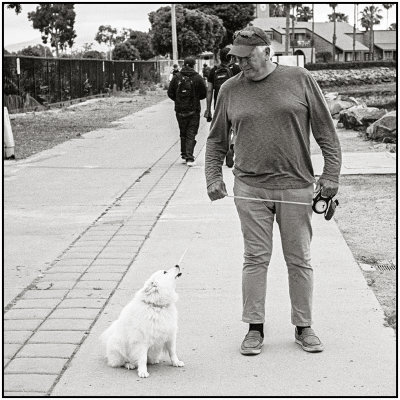 00090Dog Photos.jpg