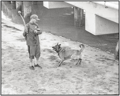 00092Dog Photos.jpg