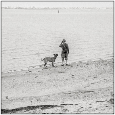 00094Dog Photos.jpg