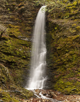 Landscapes & Waterfalls