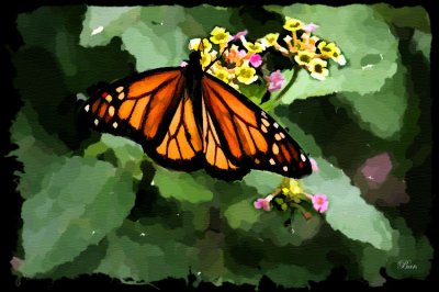 Butterfly_Impressionist