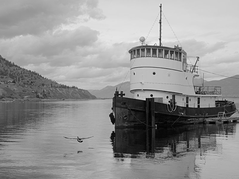BC4194024bwweb.jpg