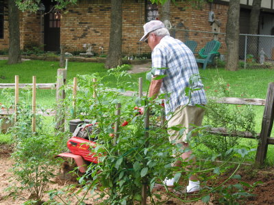 other0042.jpg