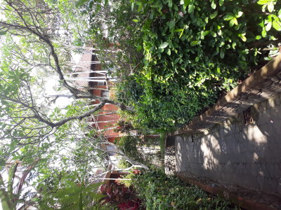My house at Oka Wati. Ubud