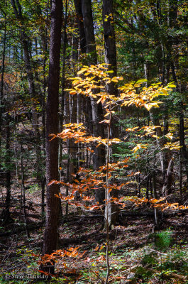 _DSC6188.jpg