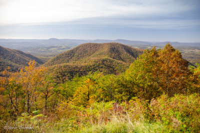 _DSC6207.jpg