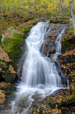 _DSC6214.jpg