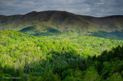 _DSC6754.jpg