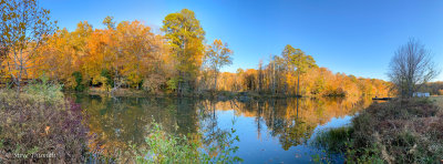 IMG_5597.jpg