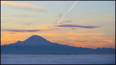 Fog_6.jpg