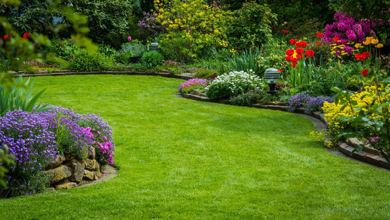 Discover the best Grubs in Grass | Blackdiamondgrows.com