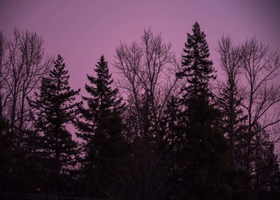 1-29-22.jpg