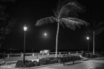 Full Moon, White Street Pier  1