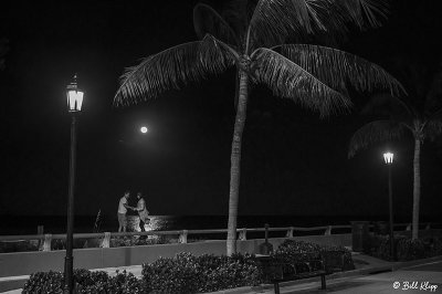 Full Moon, White Street Pier  2