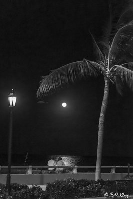 Full Moon, White Street Pier  3