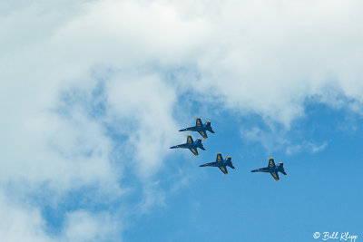 Blue Angels  19