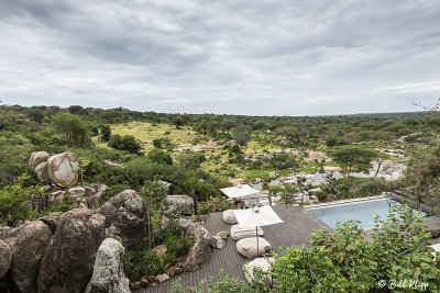 Mwiba Lodge, Southern Serengeti  2