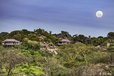 Mwiba Lodge, Southern Serengeti  6
