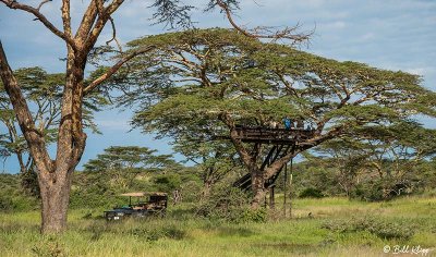 Mwiba Lodge, Southern Serengeti  15