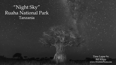 Baobab Milky Way Time Lapse