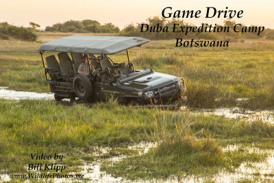 Botswana Okavango Delta Game Drive