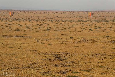 Hot Air Balloon, Masai Mara  13