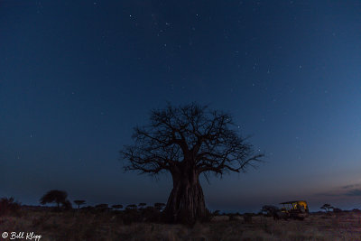 Night Sky, Baobab Tree, Ruaha Ntl Park   1