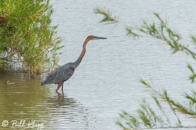 g12/57/566457/3/169106277.5IBIS74P.jpg