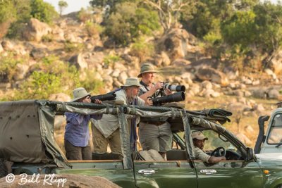 Game Drive, Tarangire Ntl. Park  1