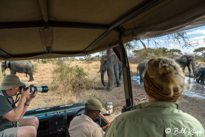 Elephants, Tarangire Ntl. Park  17