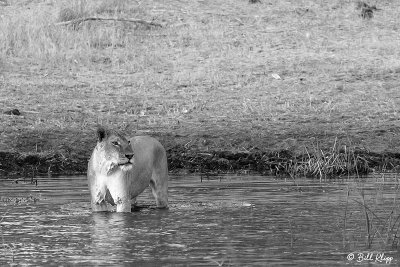 g12/57/566457/3/169125959.LbVp1q9I.jpg