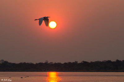 Sunset, Mana Pools Ntl. Park  1