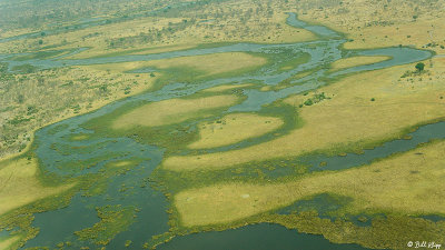 Okavango Delta Aerial  1