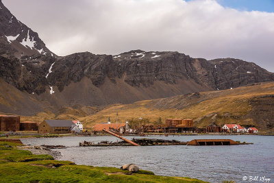 Grytviken Whaling Station  5